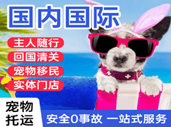 西双版纳机场托运国际宠物托运 【国